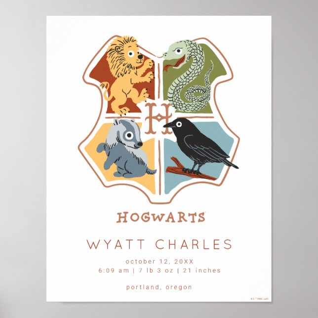 HOGWARTS™ Cartoon Baby Birth Stats Poster (Front)