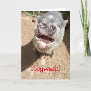 Hogwash! You don't look THAT old, Smiling Mini Pig Card