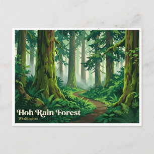 Hoh Rain Forest Port Angeles Washington Postcard