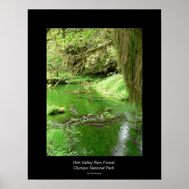 Hoh Valley Rain Forest Poster (stream) (Front)