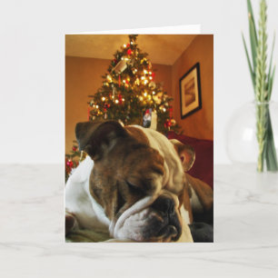 HoHoHo Maya Holiday Card
