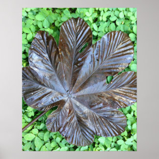 Hoja de Yagrumo seca sobre grame verde  Poster