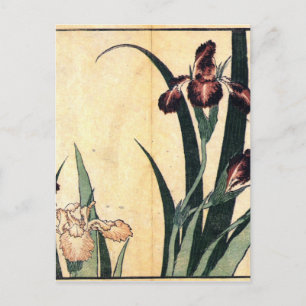 Hokusai Art painting Iris Flowers Postcard