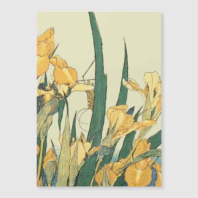 Hokusai grasshopper and iris Japan (Front)