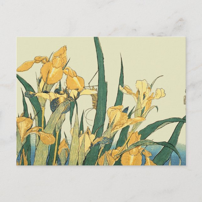 Hokusai grasshopper and iris Japan Postcard (Front)
