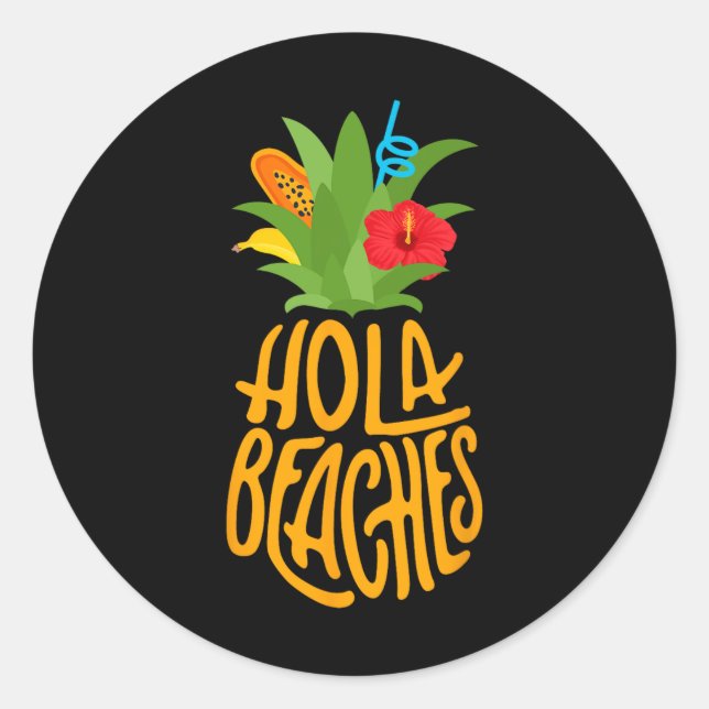 Hola Beaches Pineapple Funny Beach Vacation Hola B Classic Round Sticker (Front)