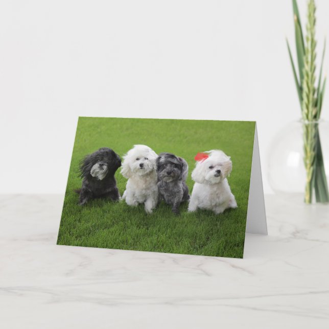 Hold On Card (Front)