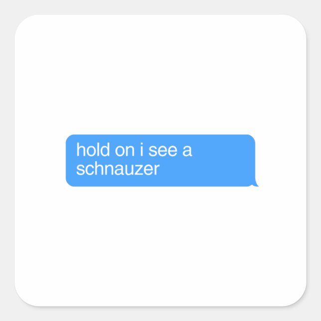 Hold On I See A Schnauzer Square Sticker (Front)