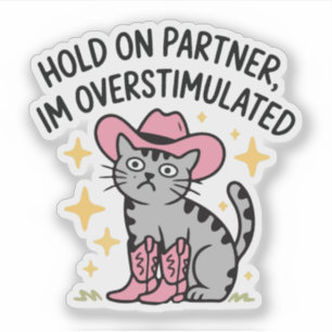 Hold on partner, Im overstimulated cowboy cat