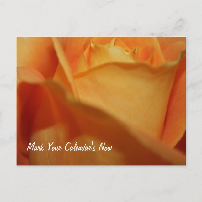 Hold The Date Post Card (Front)