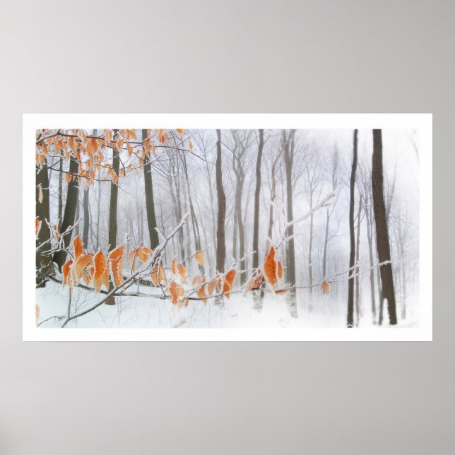 Holding on, poster (Front)