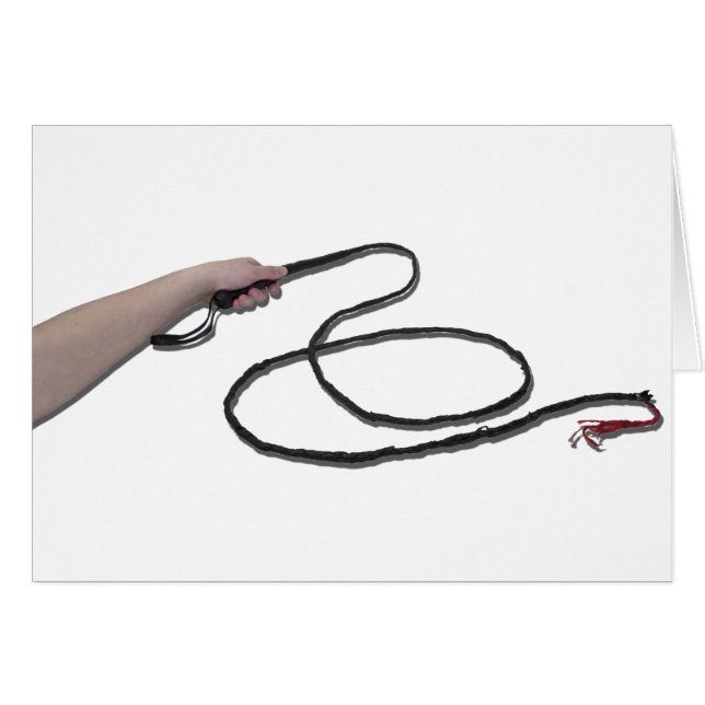 HoldingWhip103110 (Front Horizontal)