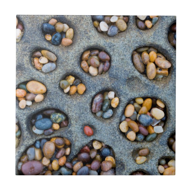 Holes filled with pebbles, CA Ceramic Tile (Front)