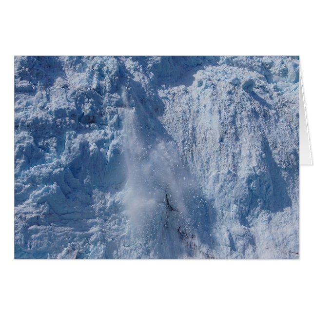 Holgate Calving Action (Front Horizontal)