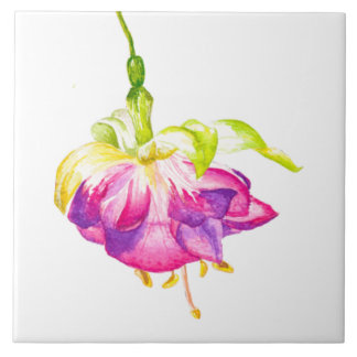 Holi on a Ceramic Tile (B)