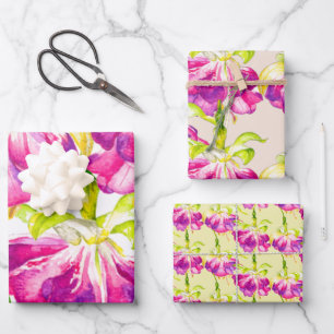 Holi on a Wrapping Paper Set 