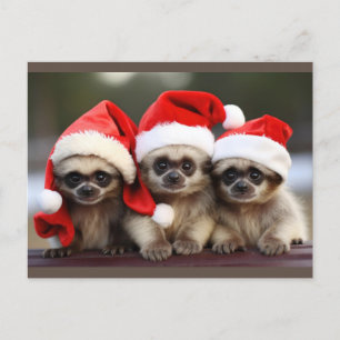 Holiday Animal Postcards 