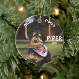 Holiday Bernese Mountain Dog Photo Ornament