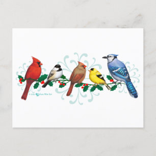 Holiday Birds Postcard