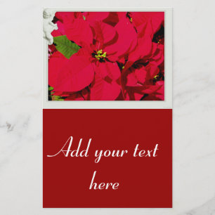 Holiday Blessings_ Stationery