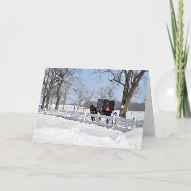 Holiday Buggy Drive (Front)