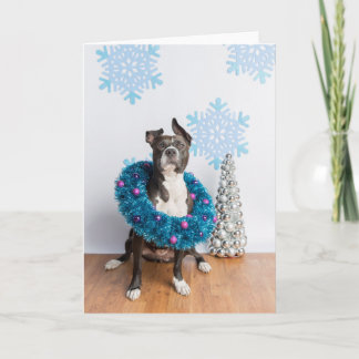 Holiday card