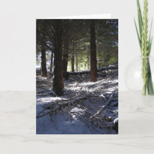 Holiday card, Bob's Peak Queenstown