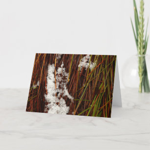 Holiday card, Dove Lake Cradle Mountain Card