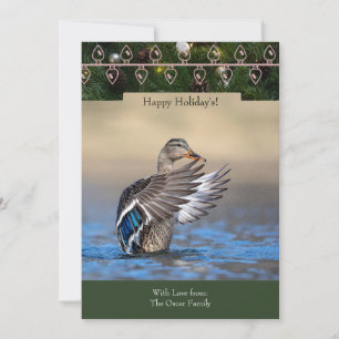 Holiday Card with a Mallard Duck