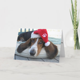 Holiday Card with Basset Hound
