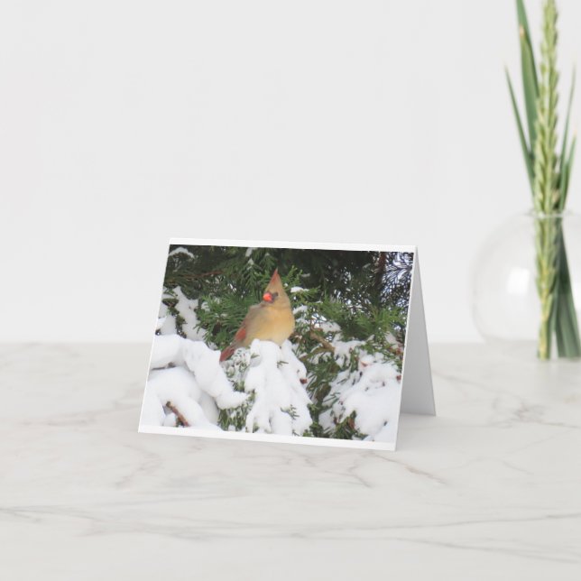 Holiday Card with Cardinal (Front)