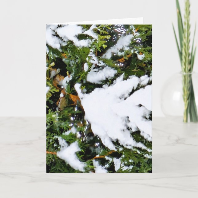 Holiday card with snow on branches (Front)