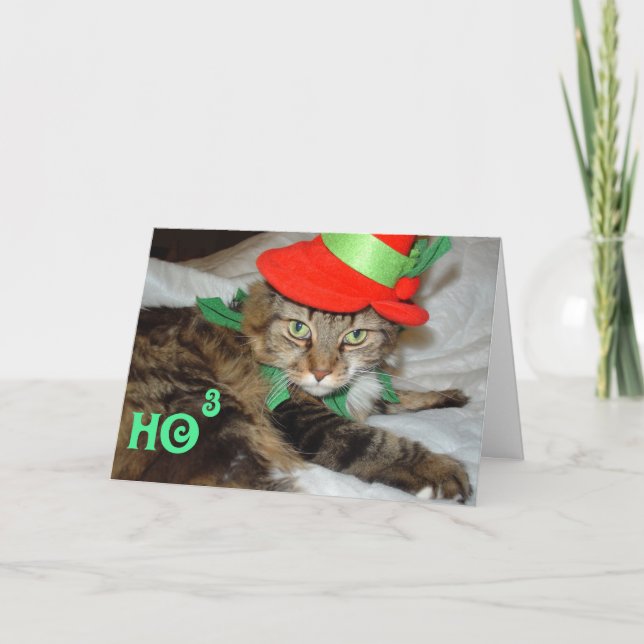 holiday cards (Front)