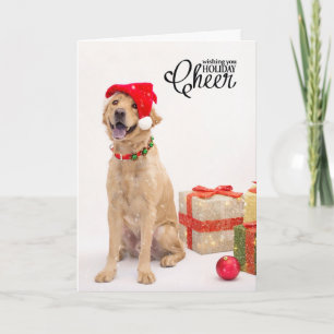 Holiday Cards