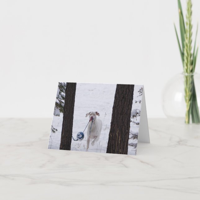 Holiday Cards (Front)