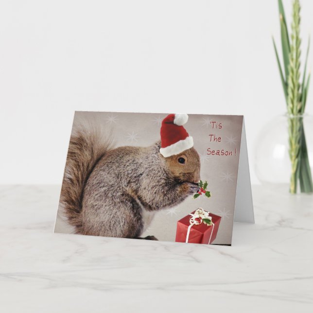 Holiday Cards for Nature Lovers (Front)