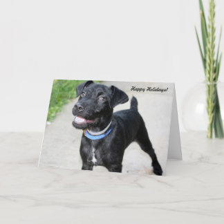 Holiday Cards "Holiday cheer"