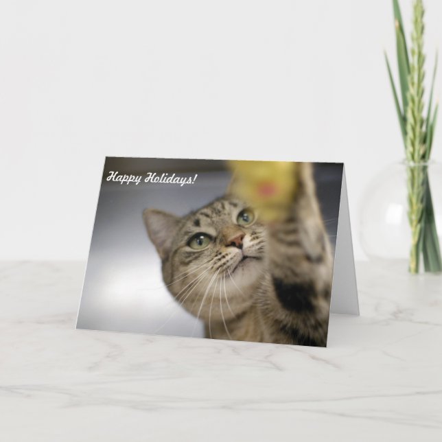 Holiday Cards "Peace, Joy, Hope" (Front)