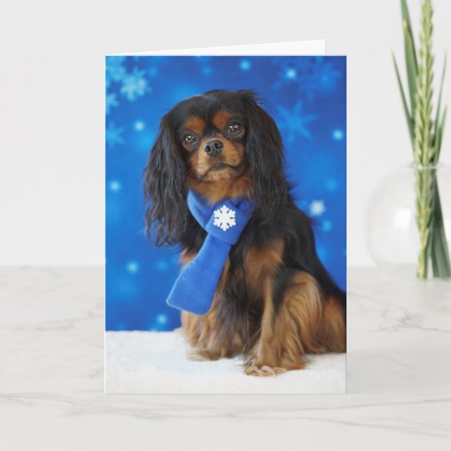 Holiday Cavalier Card (Front)