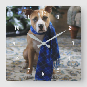 Holiday Cheer from Pit Bull Rescue Dog Square Wall Clock