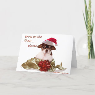 Holiday Chihuahua Christmas Card