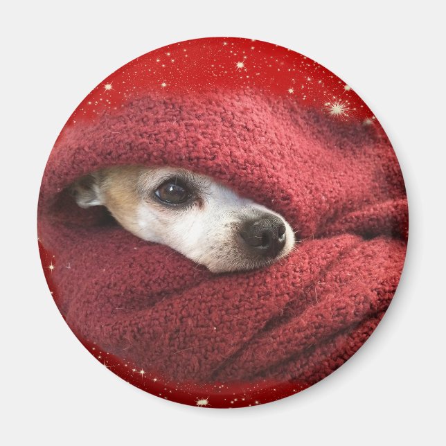 Holiday Chihuahua Magnet (Front)