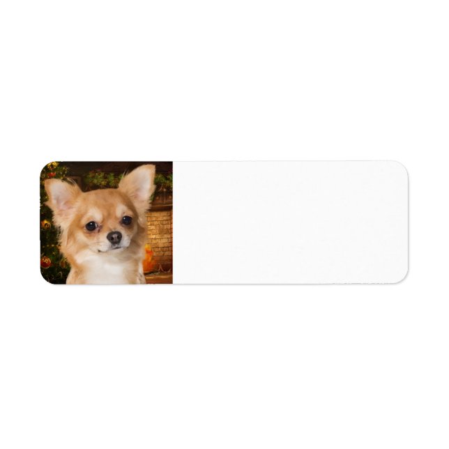 Holiday Chihuahua Return Address Label (Front)