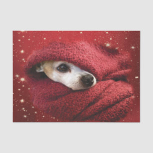 Holiday Chihuahua  Tissue Paper