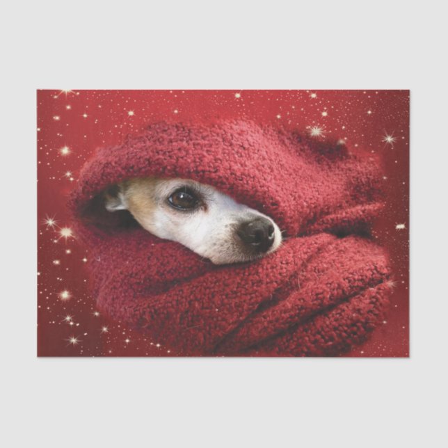 Holiday Chihuahua  Tissue Paper (Front)