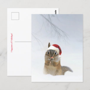 Holiday Christmas Cute Chipmunk in the Snow Postcard