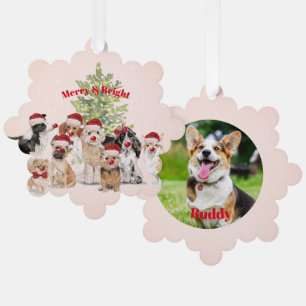 Holiday Christmas Dog Lovers Photo Merry Santa Hat Tree Decoration Card