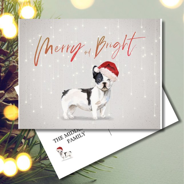 Holiday Christmas French Bull Dog Merry Bright Postcard (Creator Uploaded)