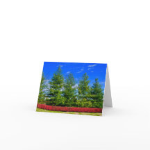 Holiday Coloured Nature Folded Card