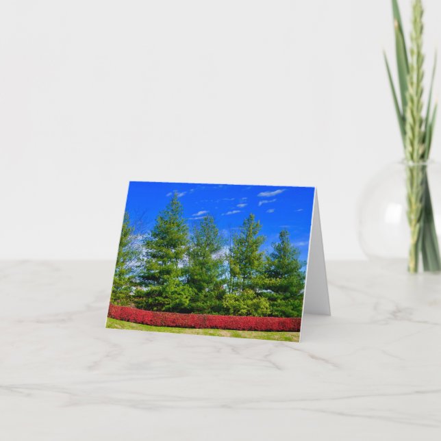 Holiday Coloured Nature Folded Card (Front)